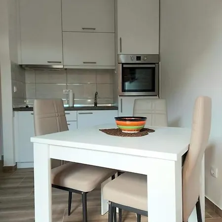 公寓 Zdravkovic & *