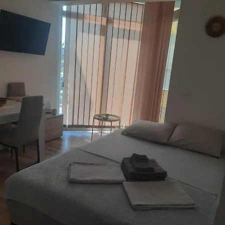 公寓 Zdravkovic & *